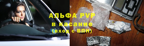 эйфоретик Арсеньев