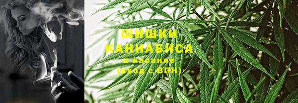 каннабис Аркадак