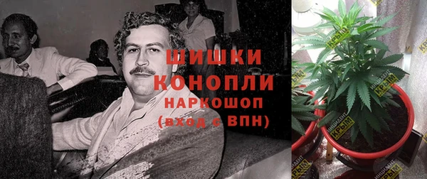 шишки Армянск