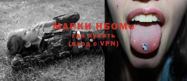 шишки Армянск