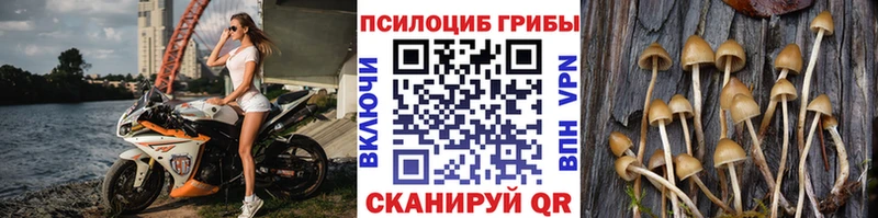 Купить где  Углич  Псилоцибиновые грибы Magic Shrooms 